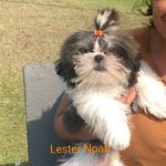 Fredy Noah Lester Noah - @fredynoahnoah - Instagram