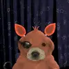 Noah - @noahleyley - TikTok