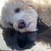 Noah Liebman - Facebook