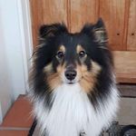 Noah Lien Boldt - @noahldinho11 - Instagram