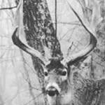 noah locklear - @noahlocklear13 - Instagram