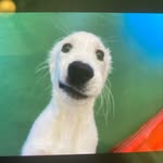 Noah lutz - @twobytwo_1 - Instagram