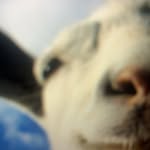 Noah Markowitz - @noah.markowitz - Instagram