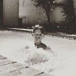 Noah Marks - @marks_noah_ - Instagram
