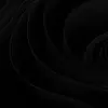 Noah 🕊️ - @noah_martelli - TikTok