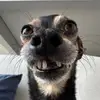 noah_martini70 - @noah_martini70 - TikTok