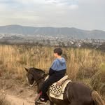 Noah☆Martini - @noahmartini1911 - Instagram