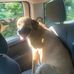 Noah Mayer - Facebook