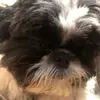 Noah Mayer - @noah.mayer - TikTok