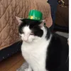 Noah Mccarthy  - @thatgamingguy - TikTok