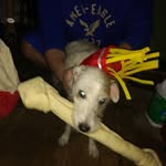 Noah Menard - @anoahmenard - Instagram