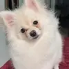 Noah Mendonça - @noah.m1224 - TikTok
