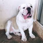 Noah Mendonça - @noah_mend20 - Instagram