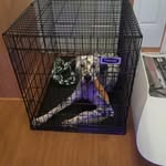 Noah mercer - @mercer3423 - Instagram
