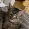 Noah Messing - @noahmessing - TikTok