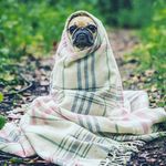 Noah Milliken - @noahmilliken09192005 - Instagram