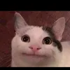 Noah Miranda851 - @the.memesterr - TikTok