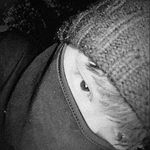 Noah Miranda - @fvckedup_kid - Instagram