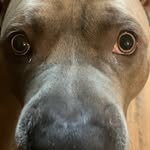Noah Morrow - @noahmorrow55 - Instagram