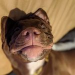 Noah Mullins - @noahmullins16 - Instagram