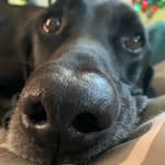 Noah N. - @noah_nagy1 - Instagram