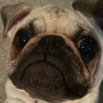 Noah Newton - @noah_newttown - Instagram