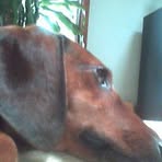 Noah Orendorff - Facebook