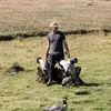 Noah Orndorff - @norndorff07 - TikTok