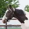 Noah Palm - @noah.palm1 - TikTok