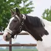 Noah Palm - @noah.palm0 - TikTok
