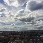 Noah Palm Stjärna - Facebook