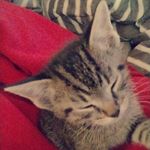 noah petty - @noahpetty65 - Instagram