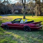 Noah petty - @fox.vertable - Instagram