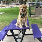 Noah Petty - @noahs.ark.petty - Instagram