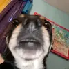 Noah Pharr - @ntpharr4 - TikTok