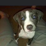 Noah Pope - Facebook