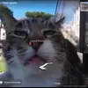 Noah powers - @noah_powers57 - TikTok