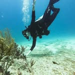 Noah Quinn - @_noahquinn_ - Instagram