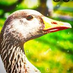Noah Quinn - @noah_quinn_a - Instagram