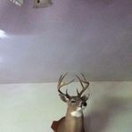 Noah Redus - Facebook