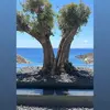 Noah - @noahgreece - TikTok