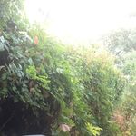 Noahmoses Regalado - @noahregalado2435 - Instagram