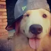 Noah_rex - @noah_rex - TikTok