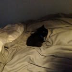 Noah Rexrode - @rexrode.noah - Instagram