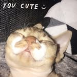 Noah The Devil Rex - @noah_devonrex - Instagram