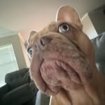 noah rice - @noahrice__ - Instagram