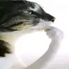 Noah - @noah.rich32 - TikTok