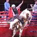Cowboy Noah the Bull Rider - Facebook