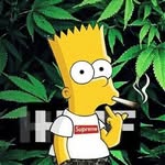 @noah_rider_35780 - Instagram