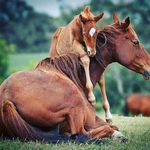 Noah  Riggs - @riggs.noah - Instagram